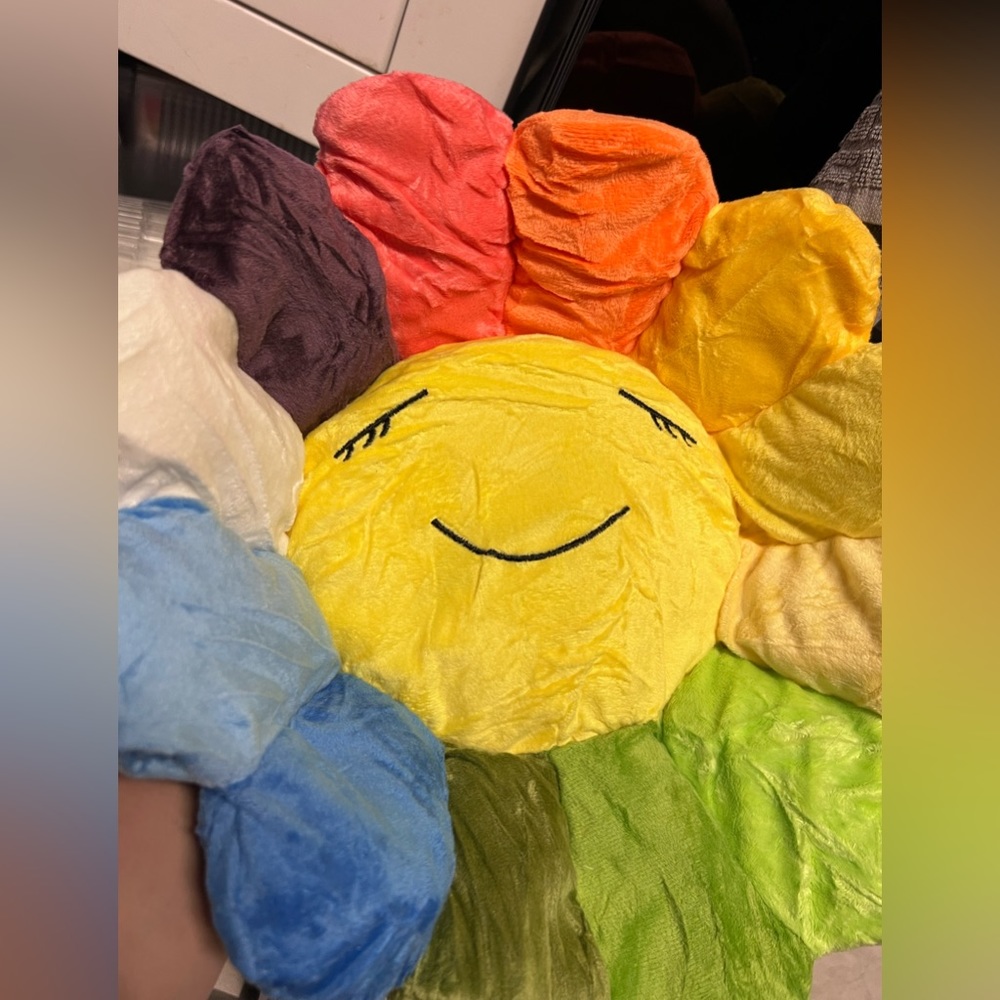 takashi murakami pillow